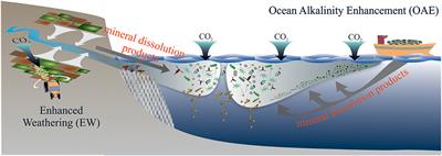 CO2 Removal With Enhanced Weathering and Ocean Alkalinity Enhancement: Potential Risks and Co-benefits for Marine Pelagic Ecosystems